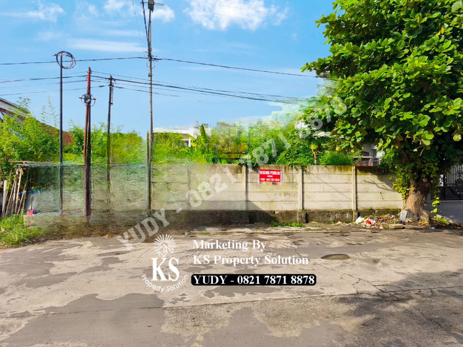 WhatsApp Image 2025-01-03 at 10.50.34 PM